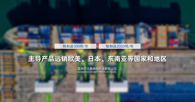 泰州市贝斯特钼制品有限公司