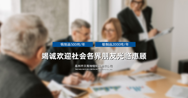 泰州市贝斯特钼制品有限公司